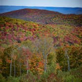 Review photo of Kumbrabow State Forest by Jennifer B., October 19, 2020