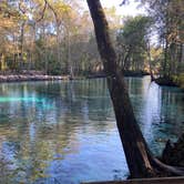 Review photo of Ginnie Springs Outdoors by Courtney B., October 19, 2020