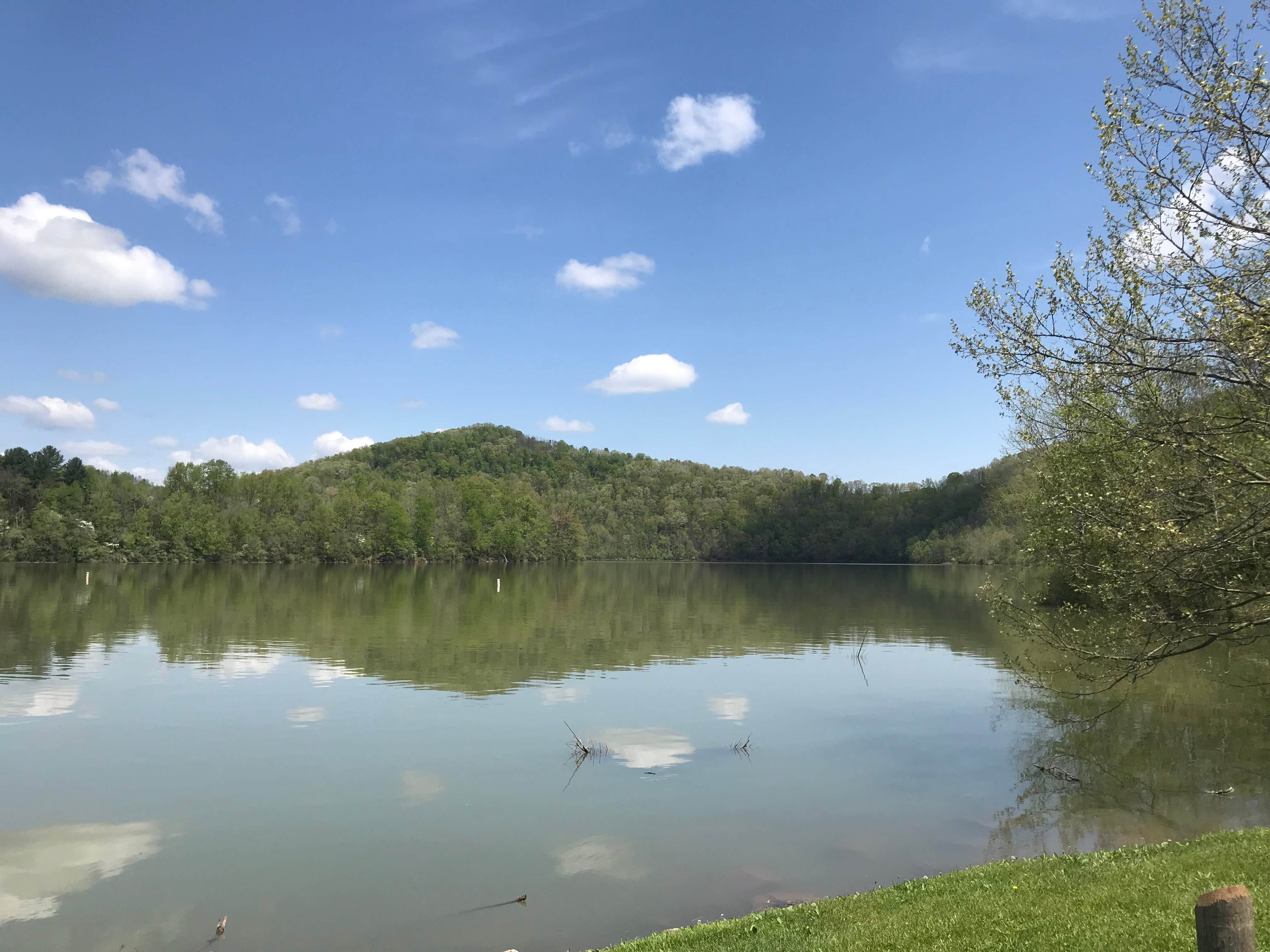 Camper submitted image from Bulltown Camp — Burnsville Lake Wildlife Management Area - 5