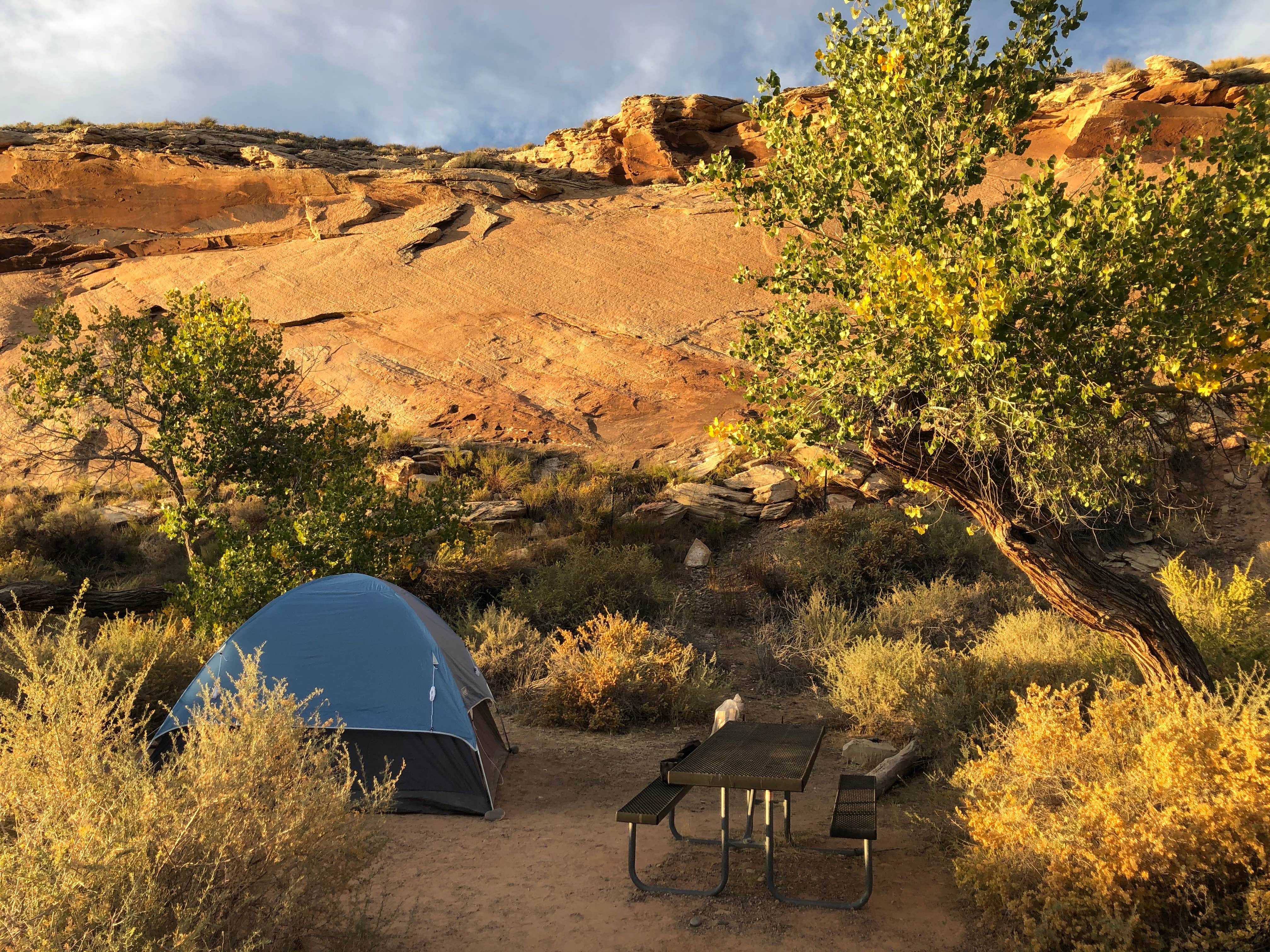Camper-submitted photo at Sand Island Recreation Area — Bears Ears National Monument near Mexican Hat, UT