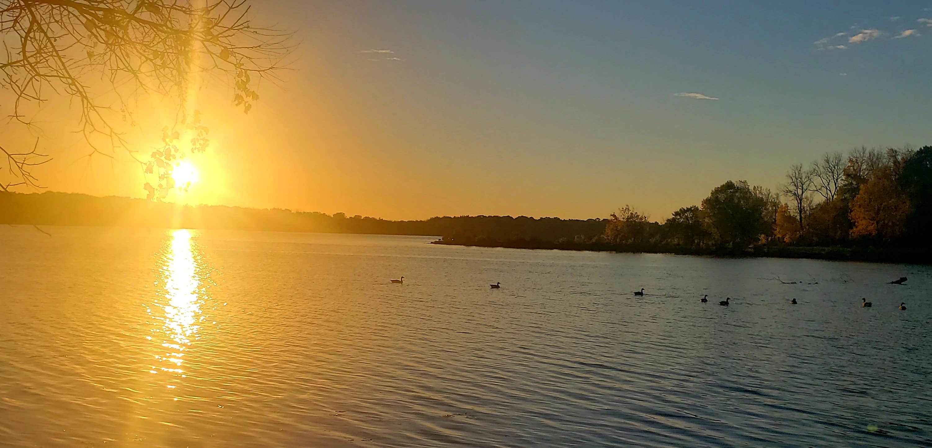 Shabbona Lake State Park The Dyrt
