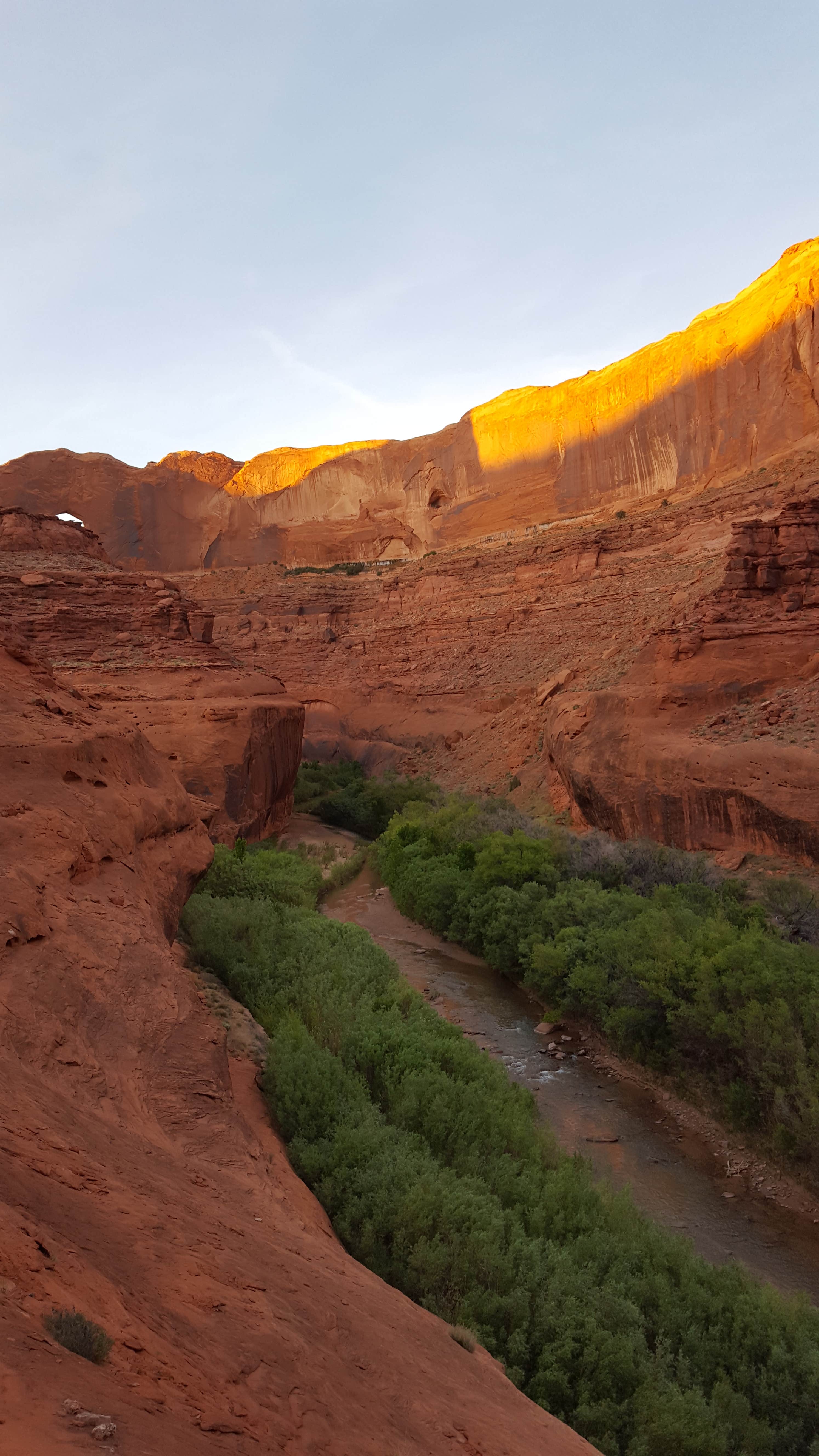 Camper submitted image from Coyote Gulch — Glen Canyon National Recreation Area - 2