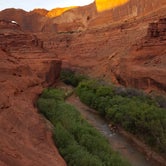 Review photo of Coyote Gulch — Glen Canyon National Recreation Area by Dan G., May 21, 2018