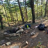 Review photo of Potato Hill Vista - Dispersed Camping by West River J., October 19, 2020