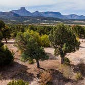 Review photo of BLM across from Mesa Verde by Eat · See · RV L., October 19, 2020