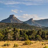 Review photo of BLM across from Mesa Verde by Eat · See · RV L., October 19, 2020