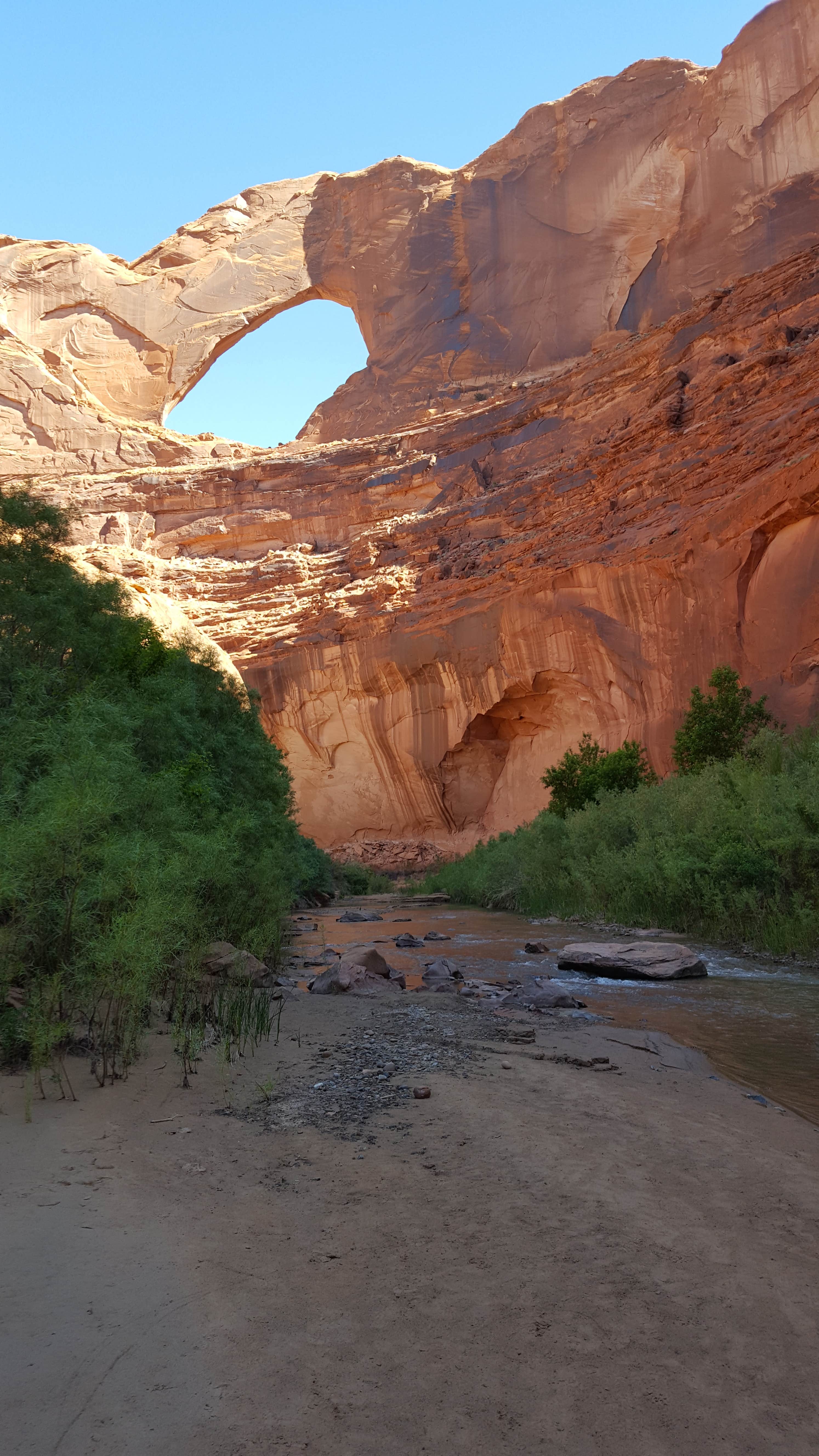 Camper submitted image from Coyote Gulch — Glen Canyon National Recreation Area - 4