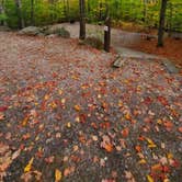 Review photo of Russell Pond Campground by Melissa W., October 19, 2020