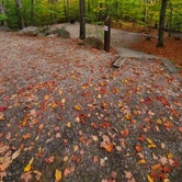 Review photo of Russell Pond Campground by Melissa W., October 19, 2020