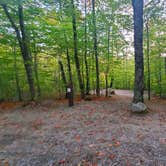 Review photo of Russell Pond Campground by Melissa W., October 19, 2020