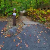 Review photo of Russell Pond Campground by Melissa W., October 19, 2020