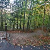 Review photo of Russell Pond Campground by Melissa W., October 19, 2020