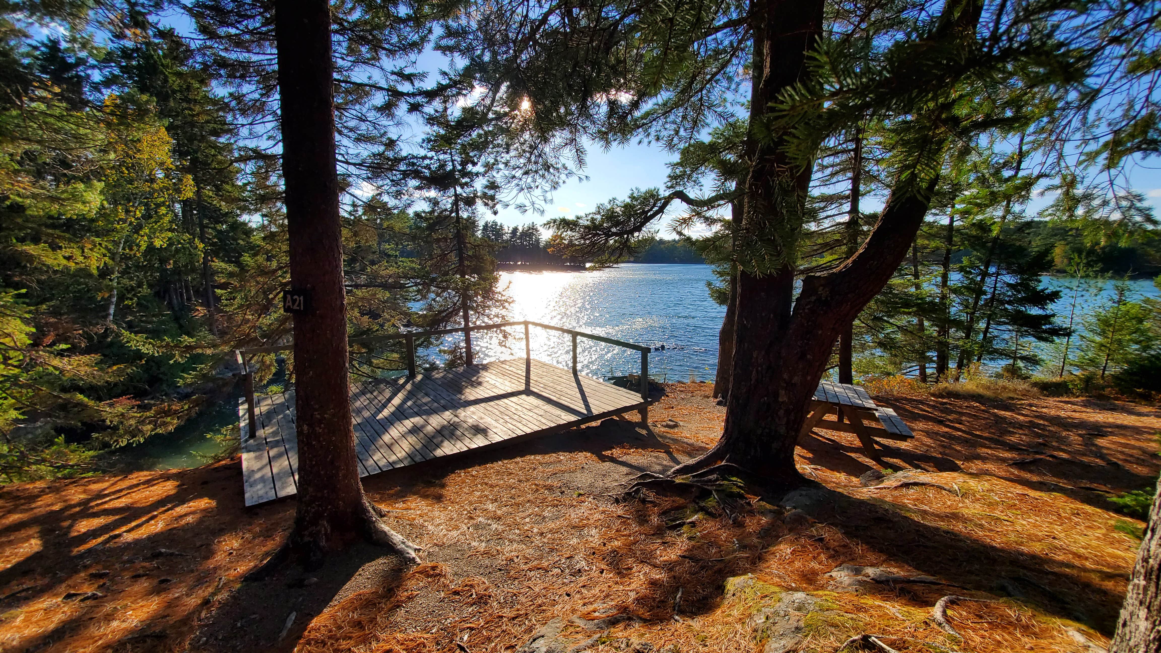 Mount Desert Campground The Dyrt