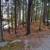 Review photo of Mount Desert Campground by Melissa W., October 19, 2020