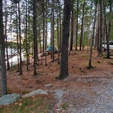 Review photo of Mount Desert Campground by Melissa W., October 19, 2020