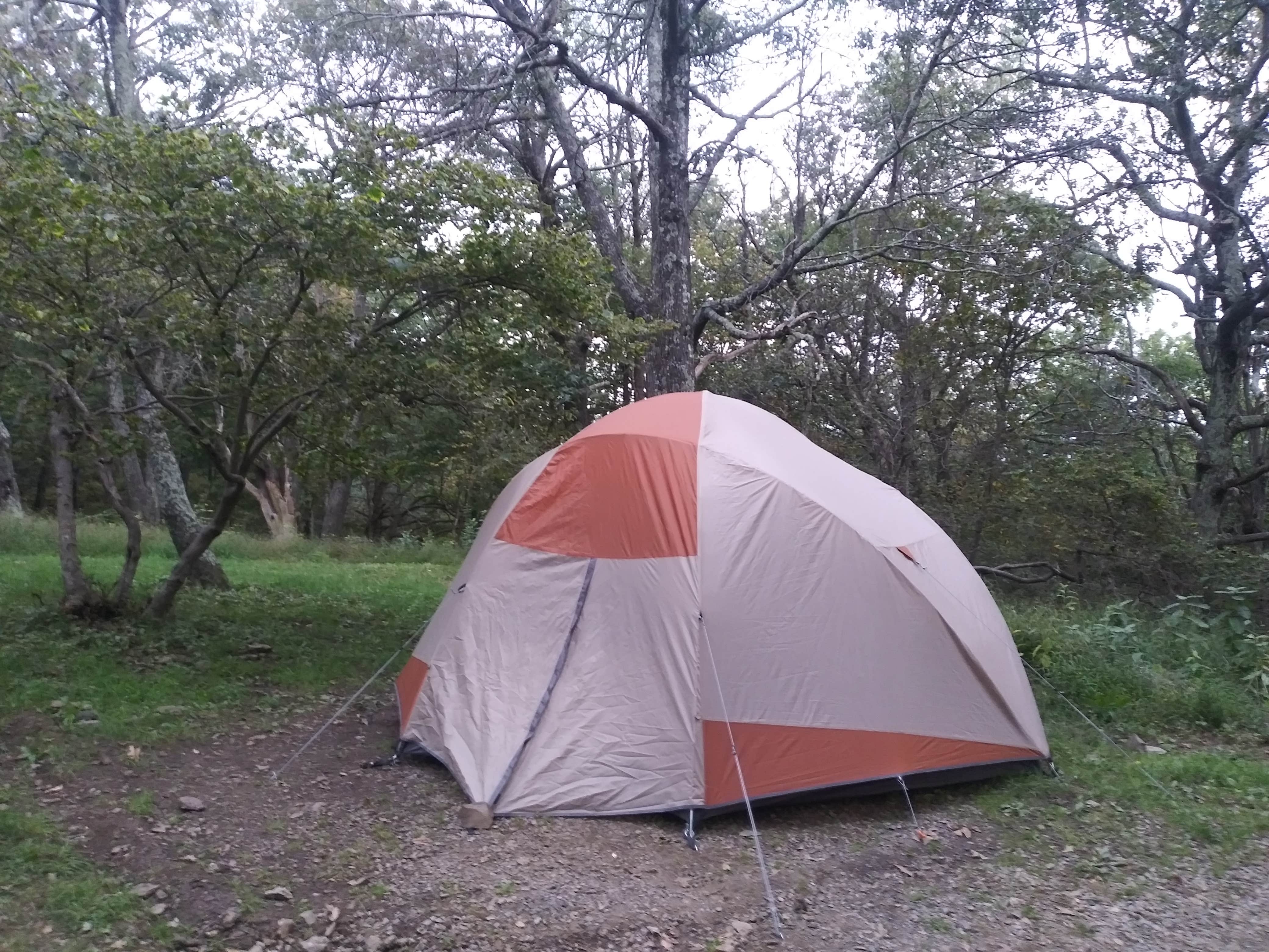 Marisa A.'s photo at Big Meadows Campground — Shenandoah National Park near Ruckersville, VA