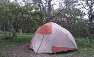 Marisa A.'s photo at Big Meadows Campground — Shenandoah National Park near Ruckersville, VA