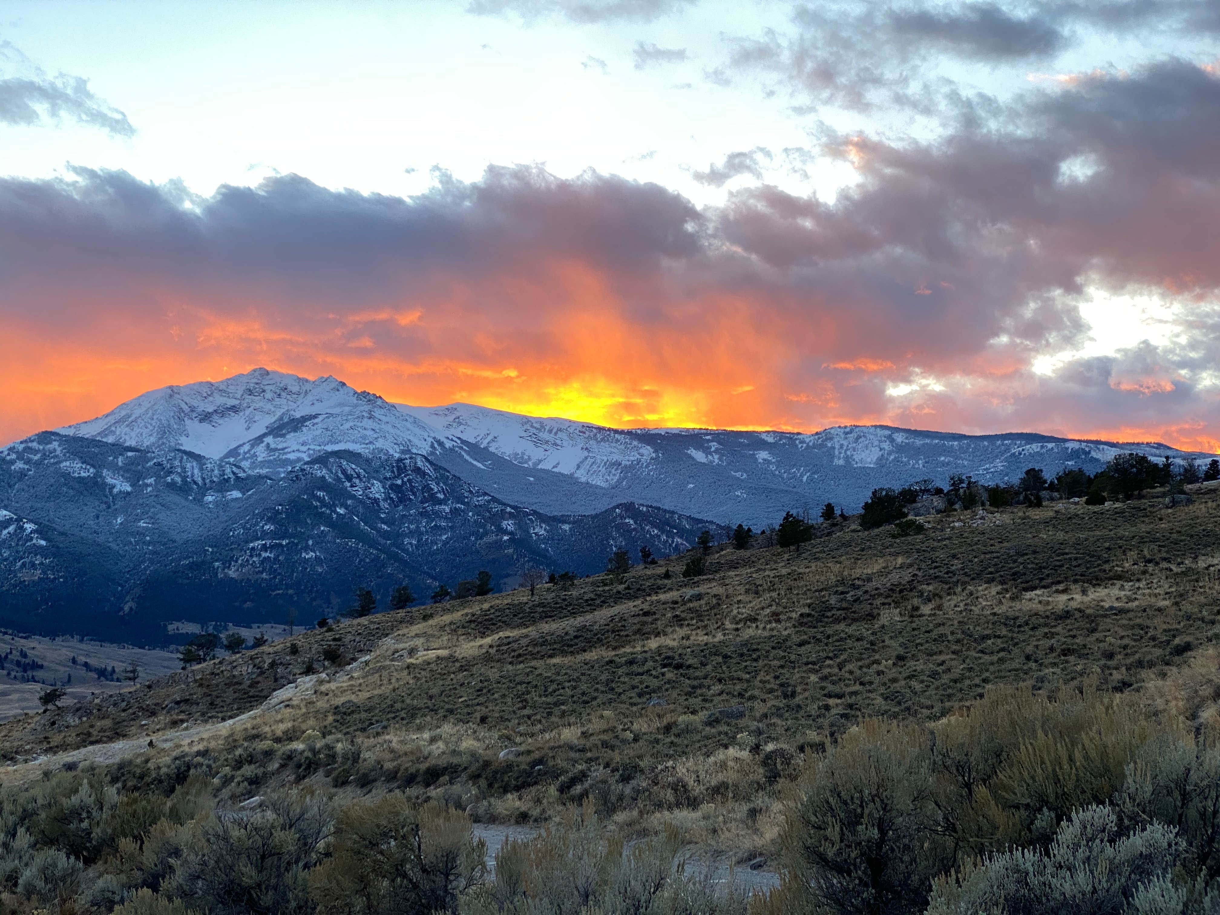 Travertine Road Dispersed - Yellowstone