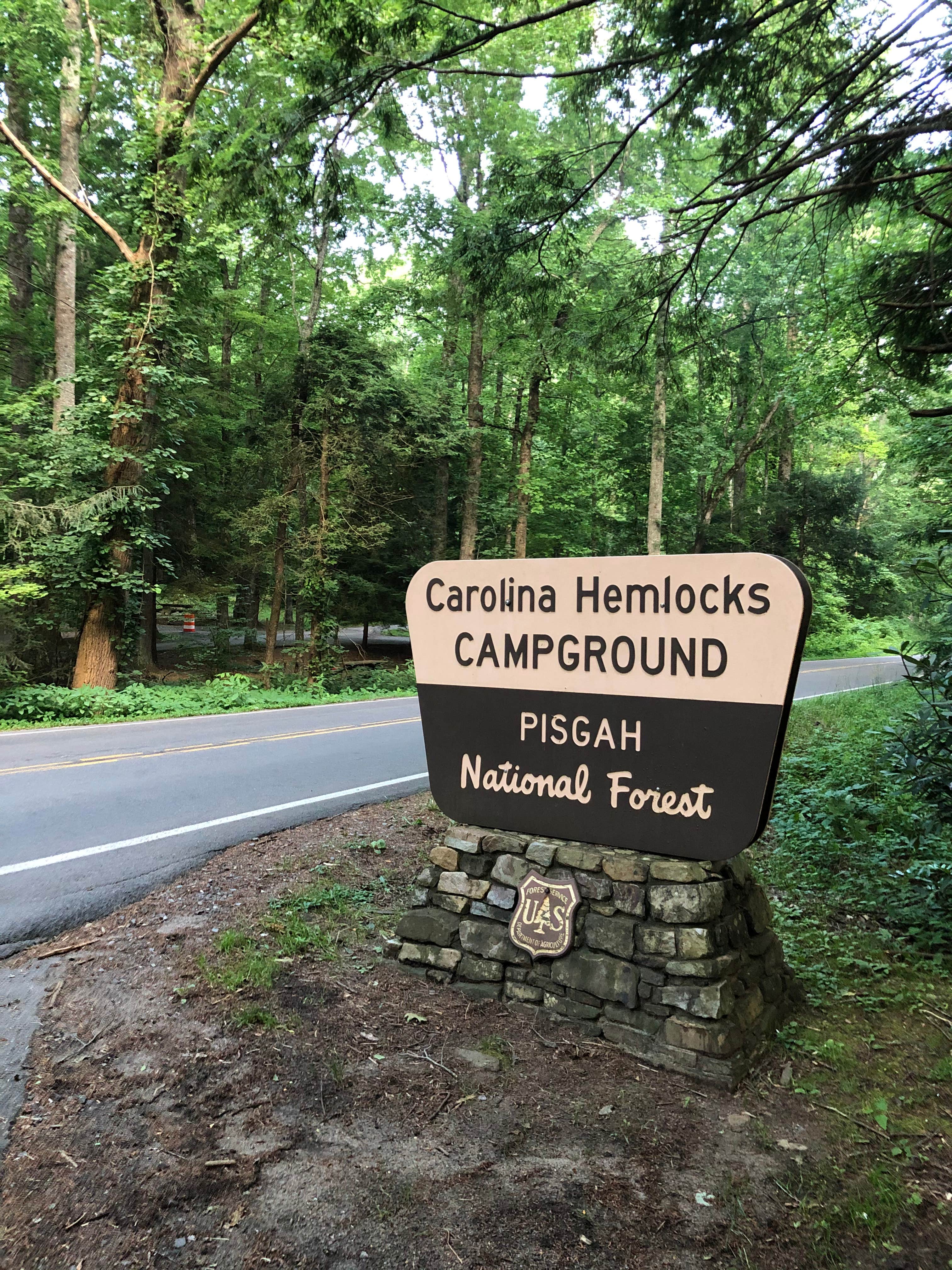 Carolina Hemlocks Rec Area The Dyrt