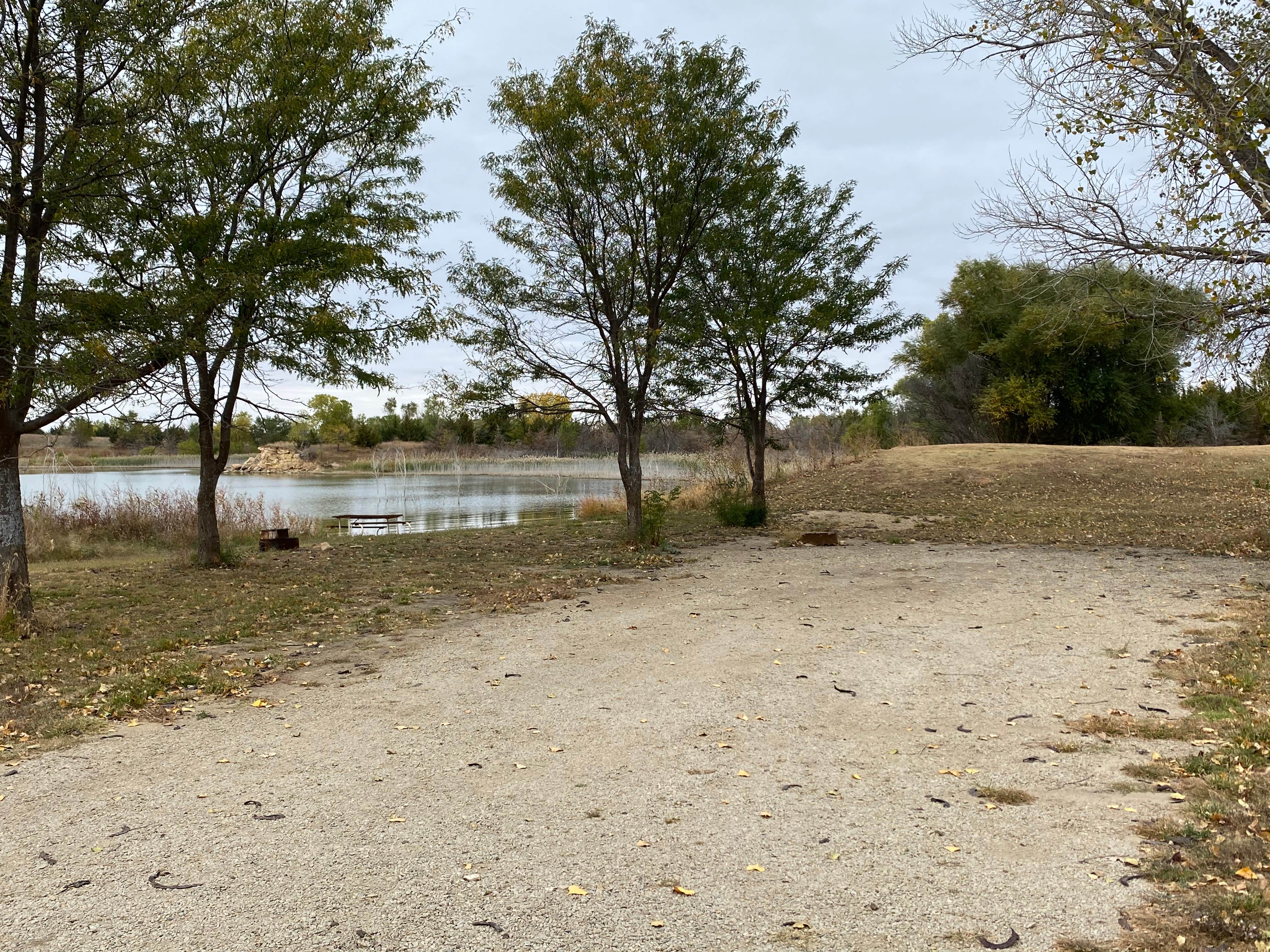 Camper submitted image from Wilson State Park Yarrow Campground - 3