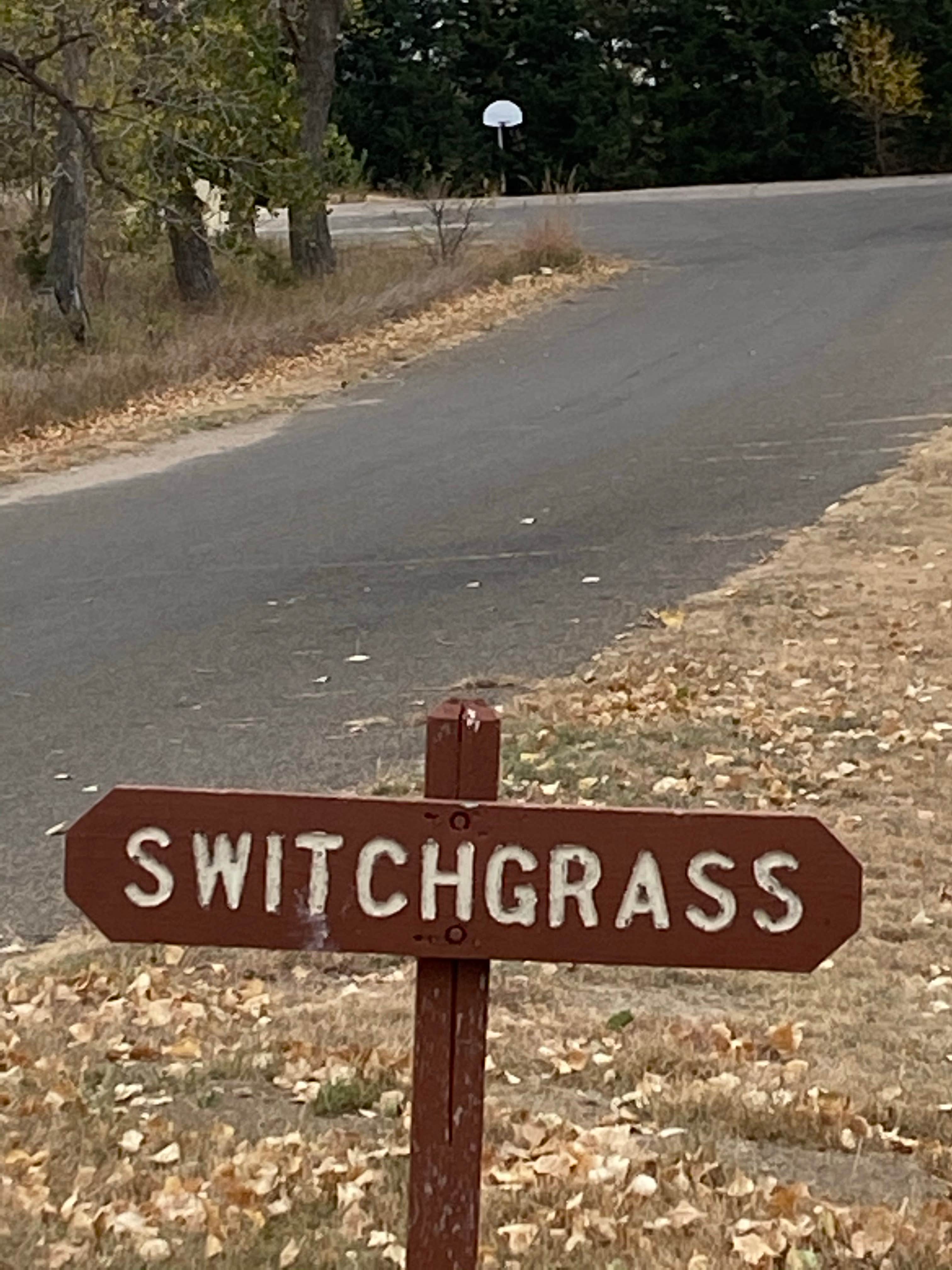 Camper submitted image from Buffalo Grass — Wilson State Park - 3