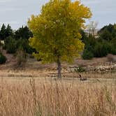 Review photo of Sideouts Hell Creek — Wilson State Park by Shannon G., October 20, 2020