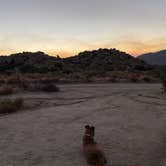 Review photo of Culp Valley Primitive Campground — Anza-Borrego Desert State Park by Dani K., October 20, 2020