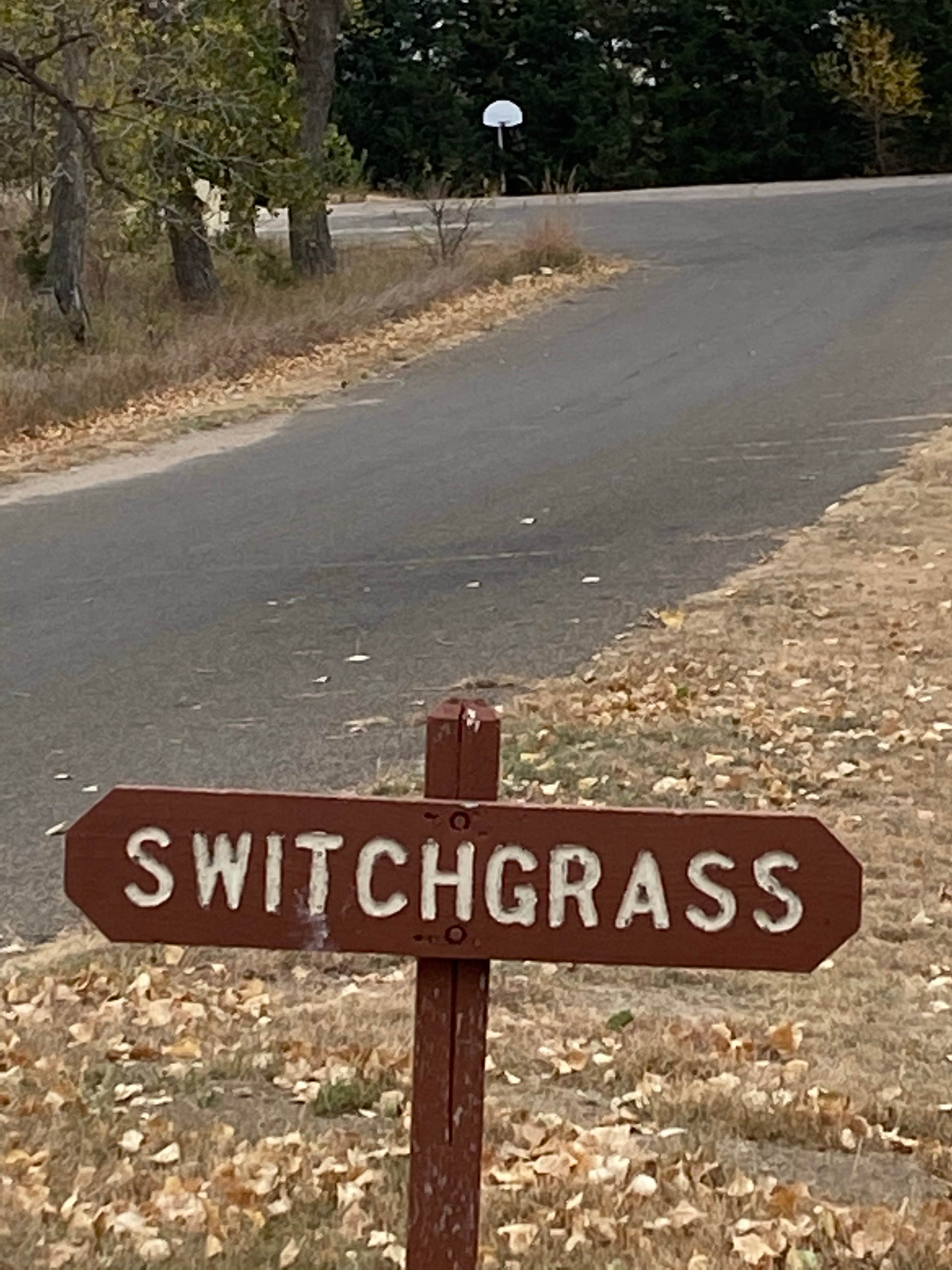 Camper submitted image from Switchgrass Hell Creek — Wilson State Park - 5