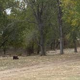 Review photo of Switchgrass Hell Creek — Wilson State Park by Shannon G., October 20, 2020