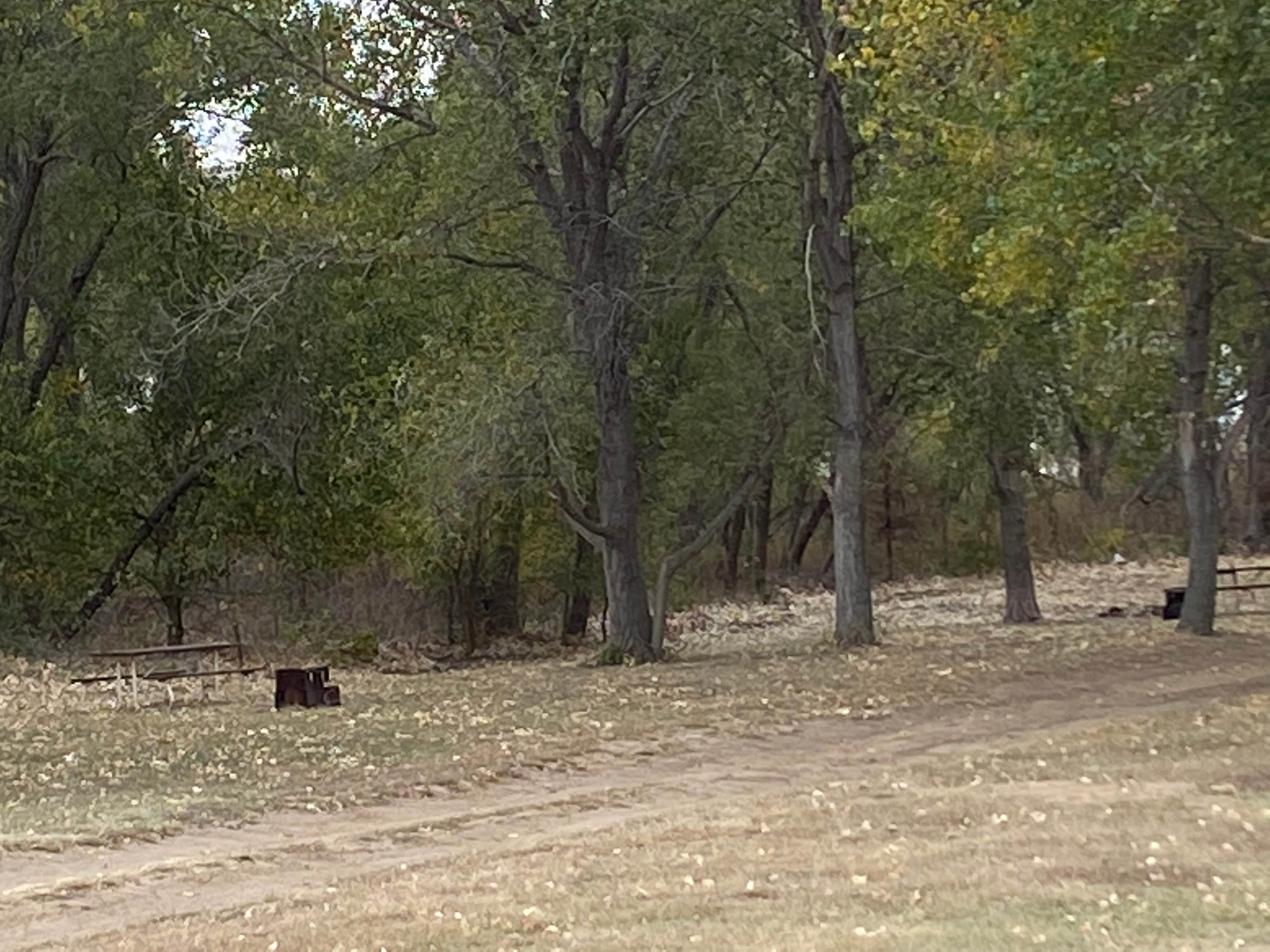 Camper submitted image from Switchgrass Hell Creek — Wilson State Park - 2