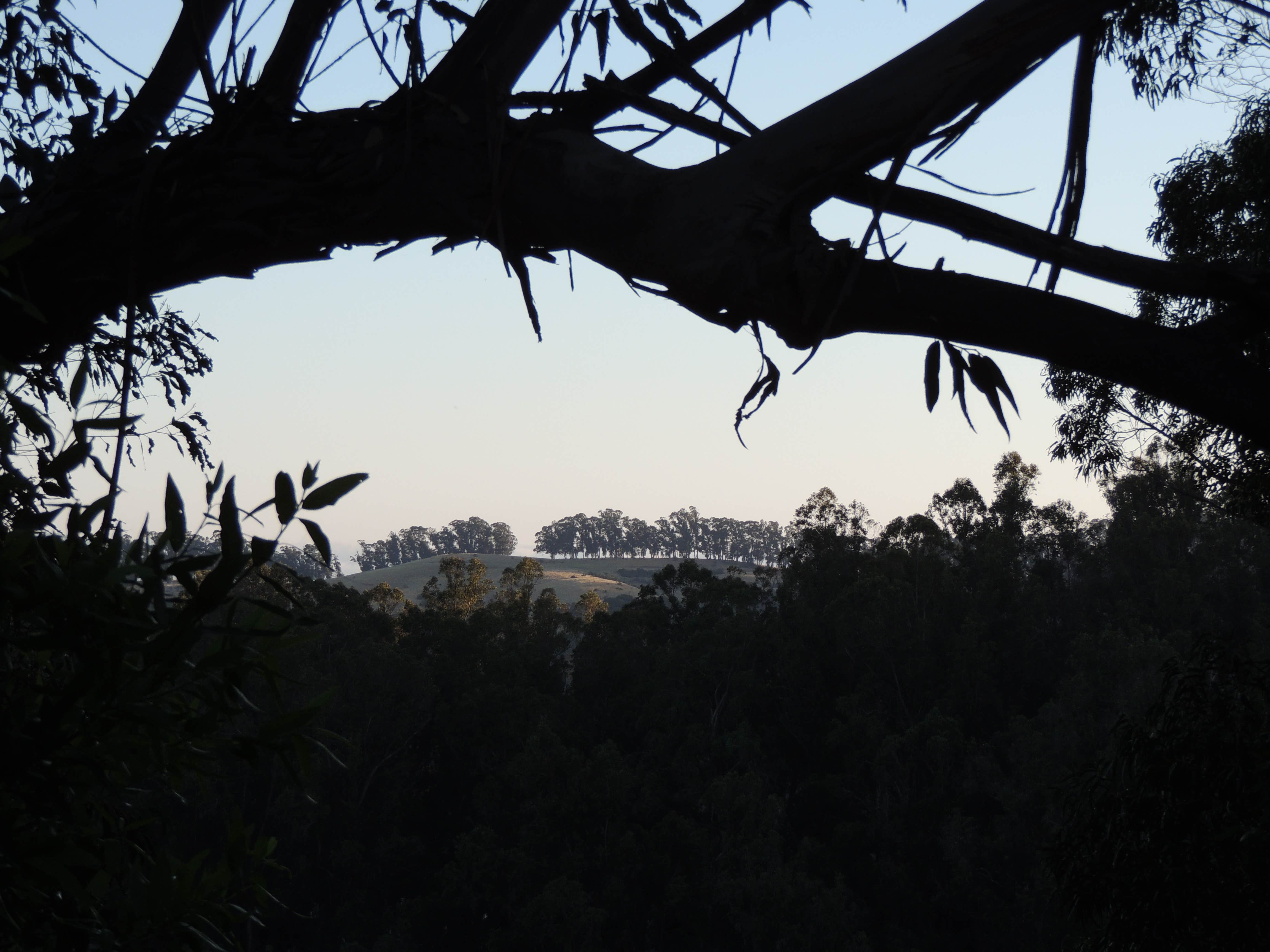 Camper-submitted photo at Anthony Chabot Regional Park near Martinez, CA