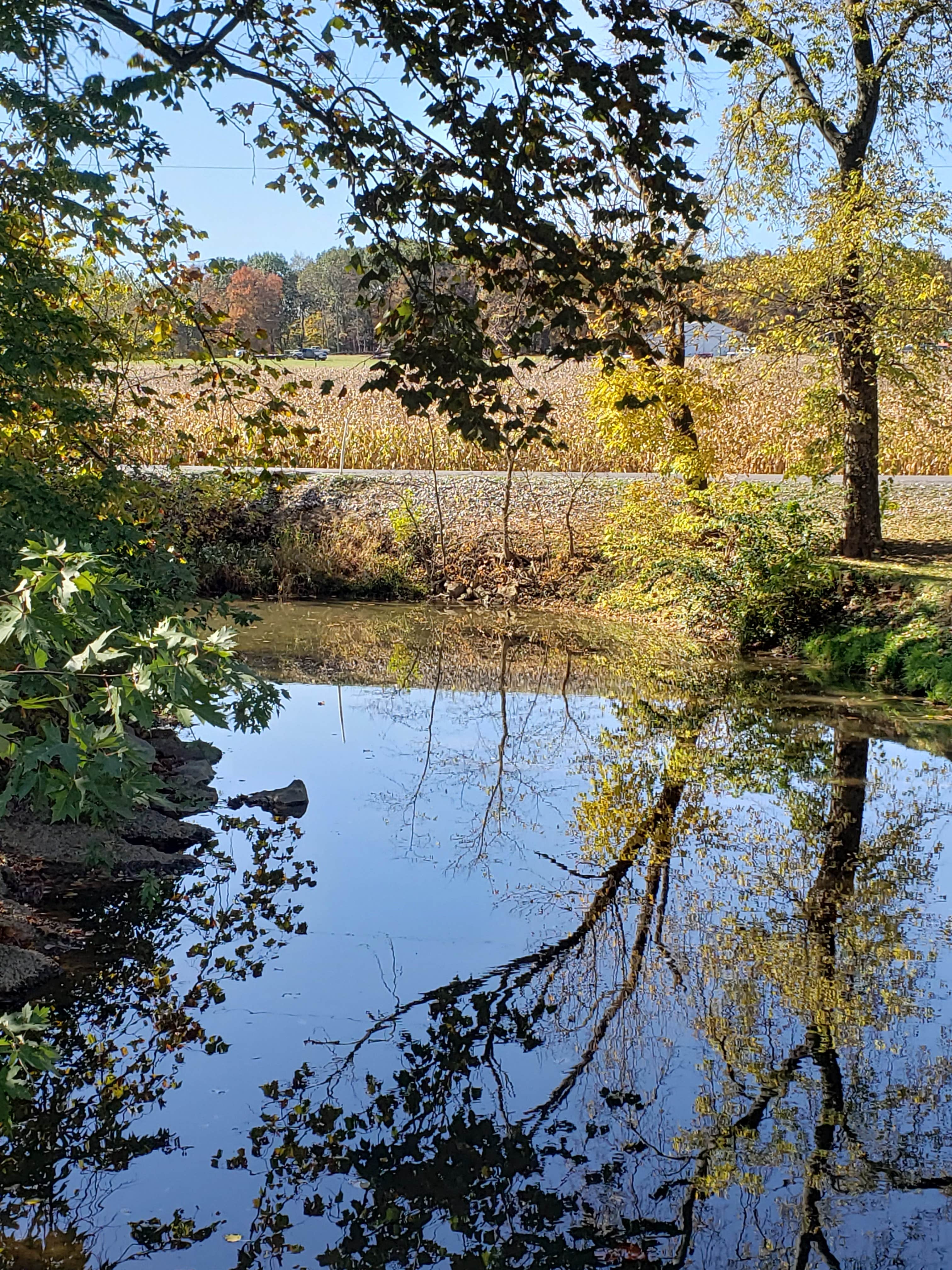 Camper submitted image from Twin Bridge Campground - 3