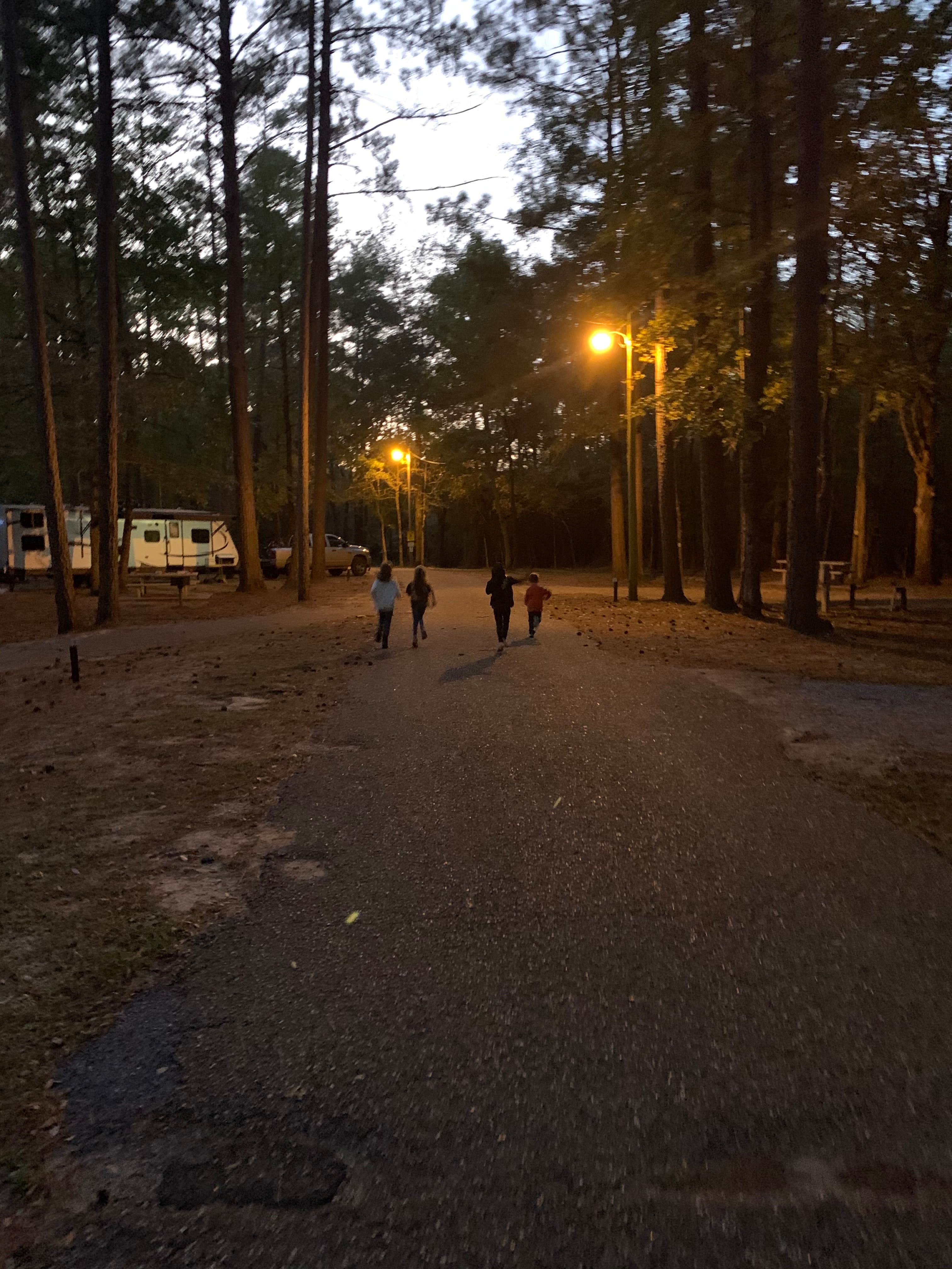 Camper-submitted photo at Dry Creek Water Park Pat Harrison Waterway District near Raleigh, MS