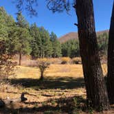 Review photo of Fenton Lake State Park — Fenton Lake Fishing Area (and Dam) by Katriza L., October 20, 2020