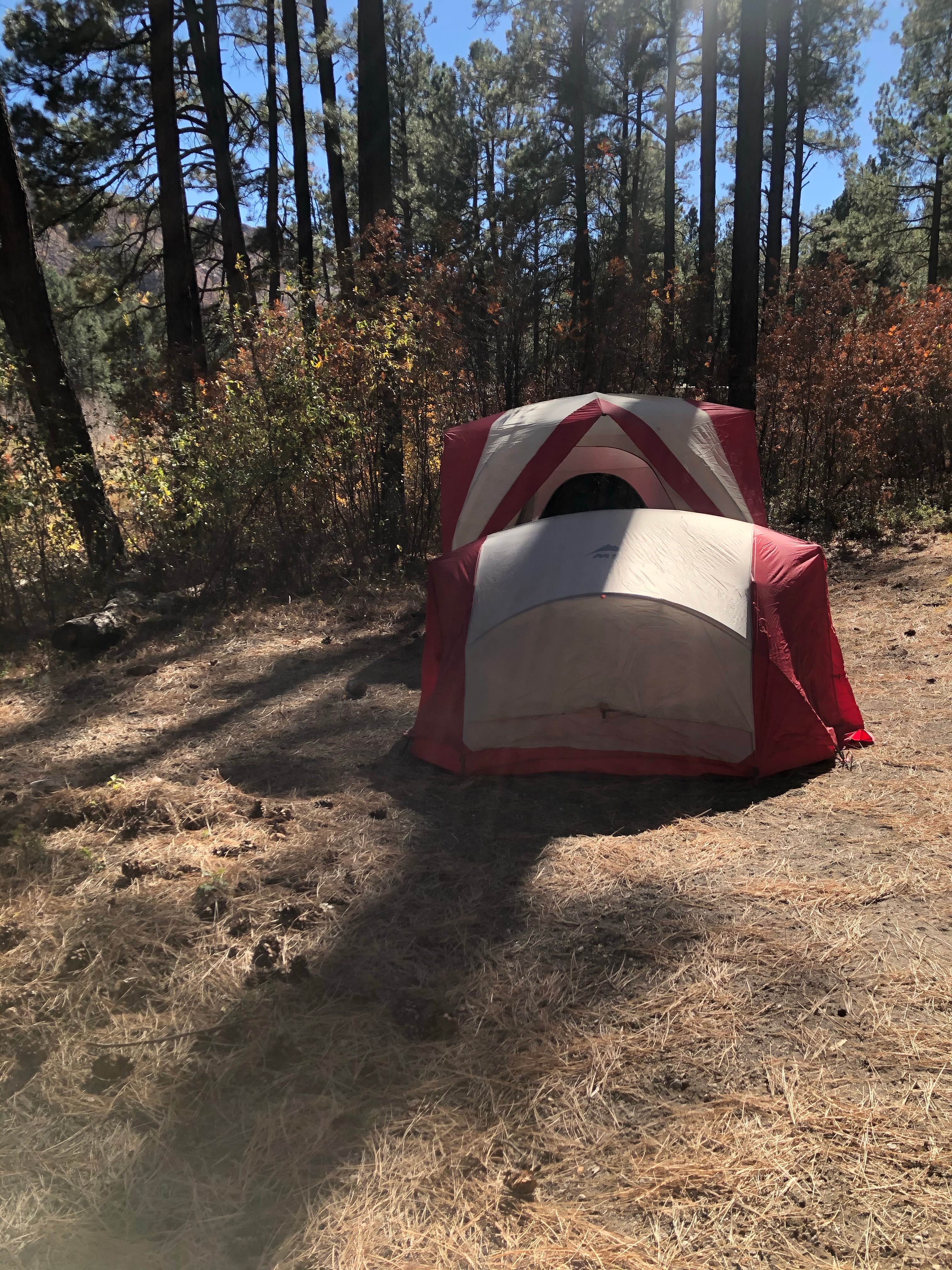 Katriza L.'s photo at Fenton Lake State Park Campground near Jemez Springs, NM