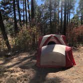 Review photo of Fenton Lake State Park — Fenton Lake Fishing Area (and Dam) by Katriza L., October 20, 2020