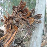 Review photo of Anthony Chabot Regional Park by Ed E., May 21, 2018