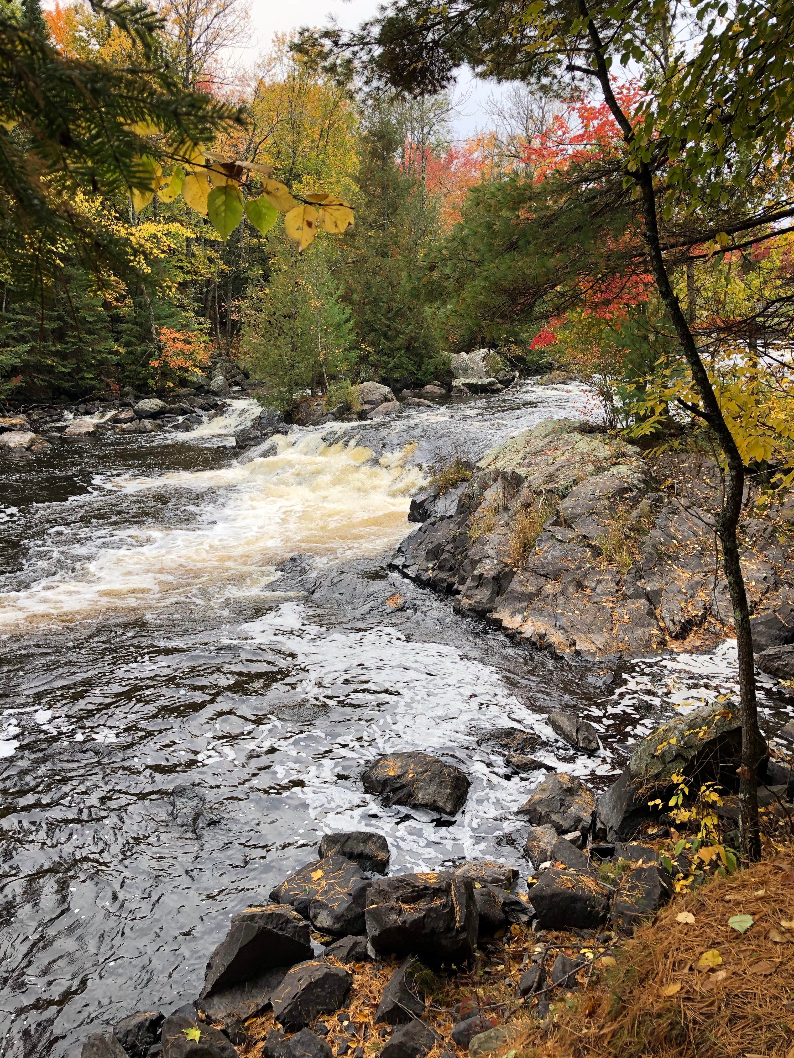 Camper submitted image from Lake of the Falls County Park - 3