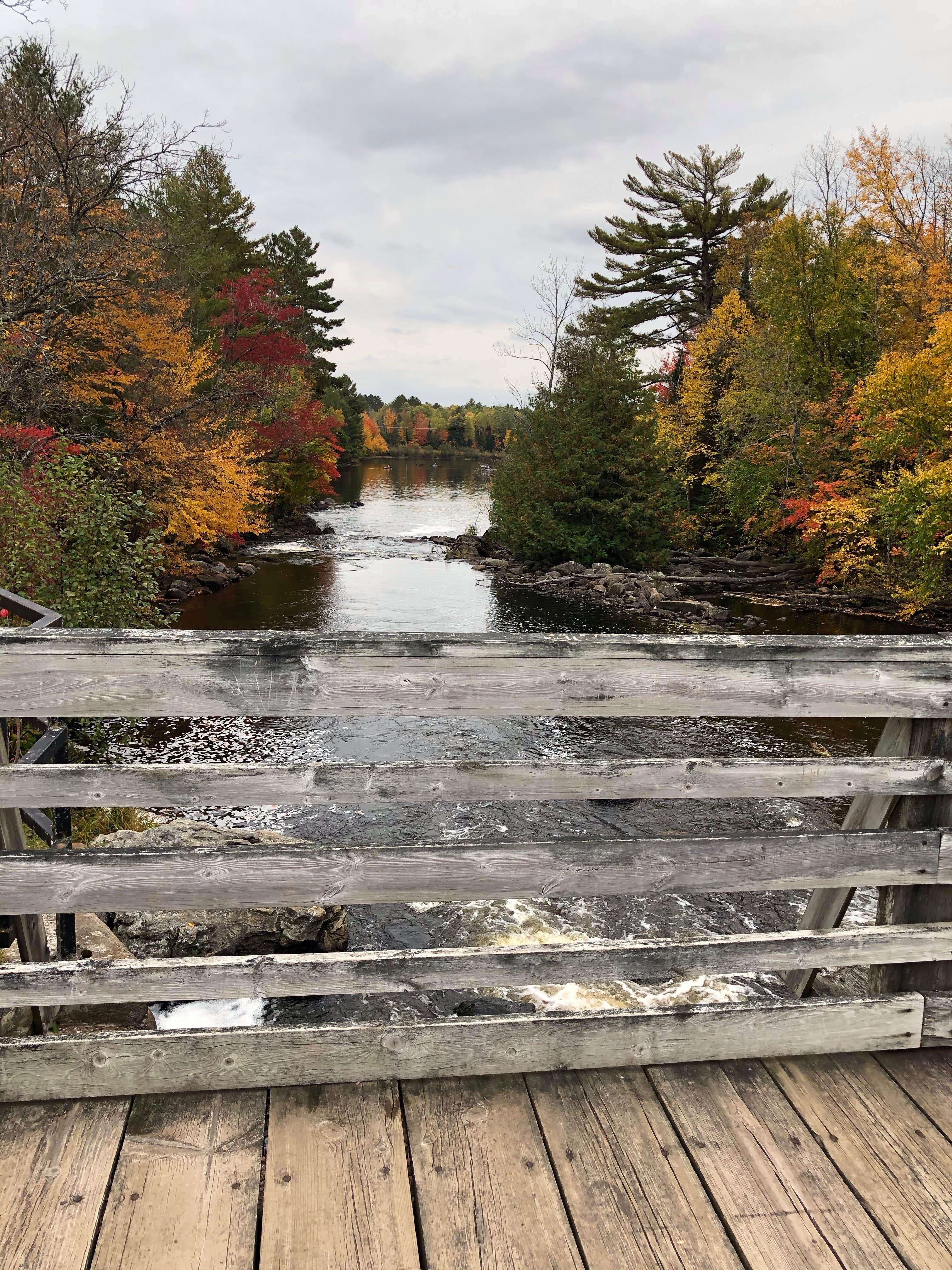 Camper submitted image from Lake of the Falls County Park - 1