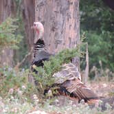 Review photo of Anthony Chabot Regional Park by Ed E., May 21, 2018