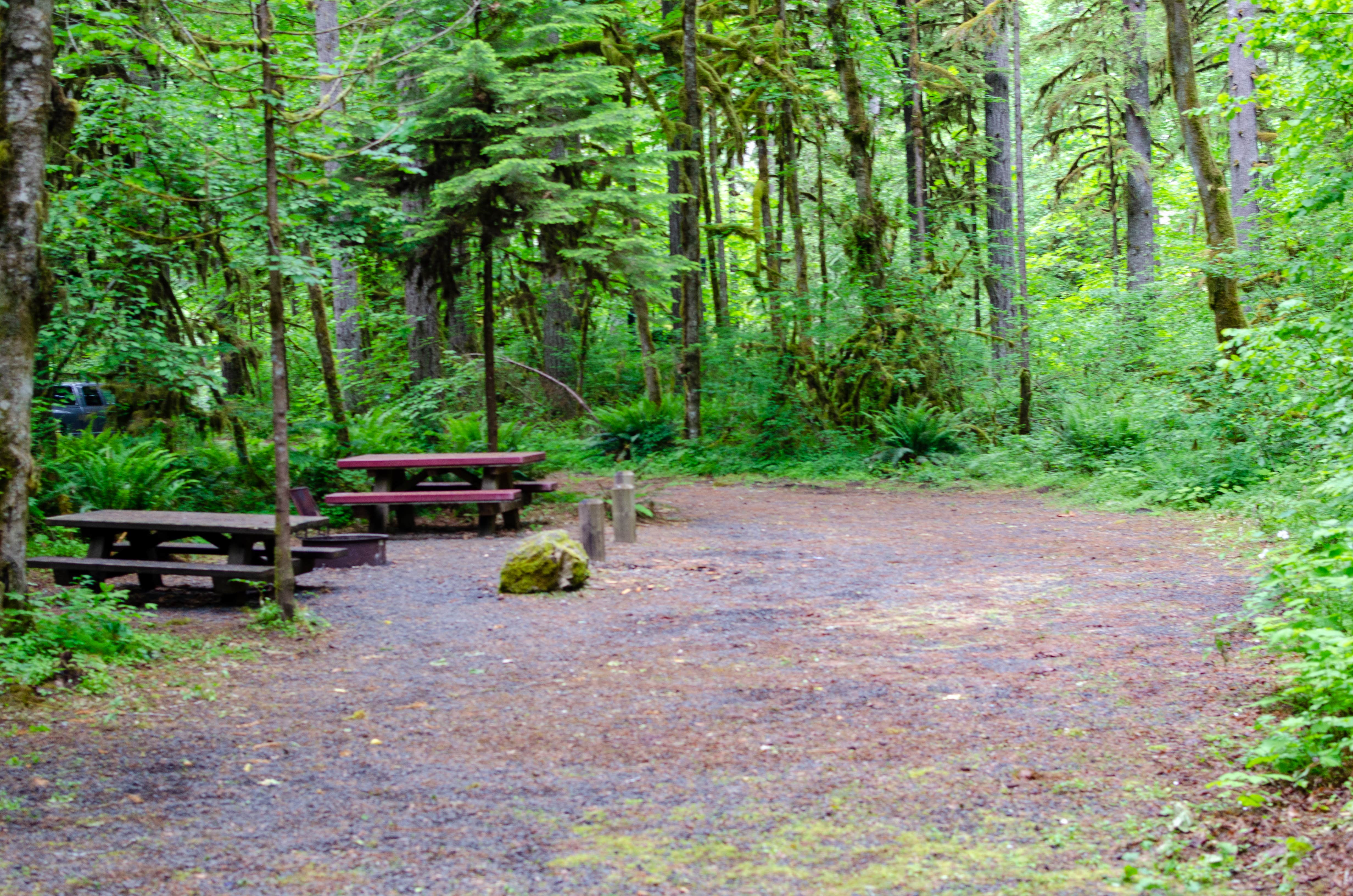 Camper submitted image from Trout Creek Campground - 3