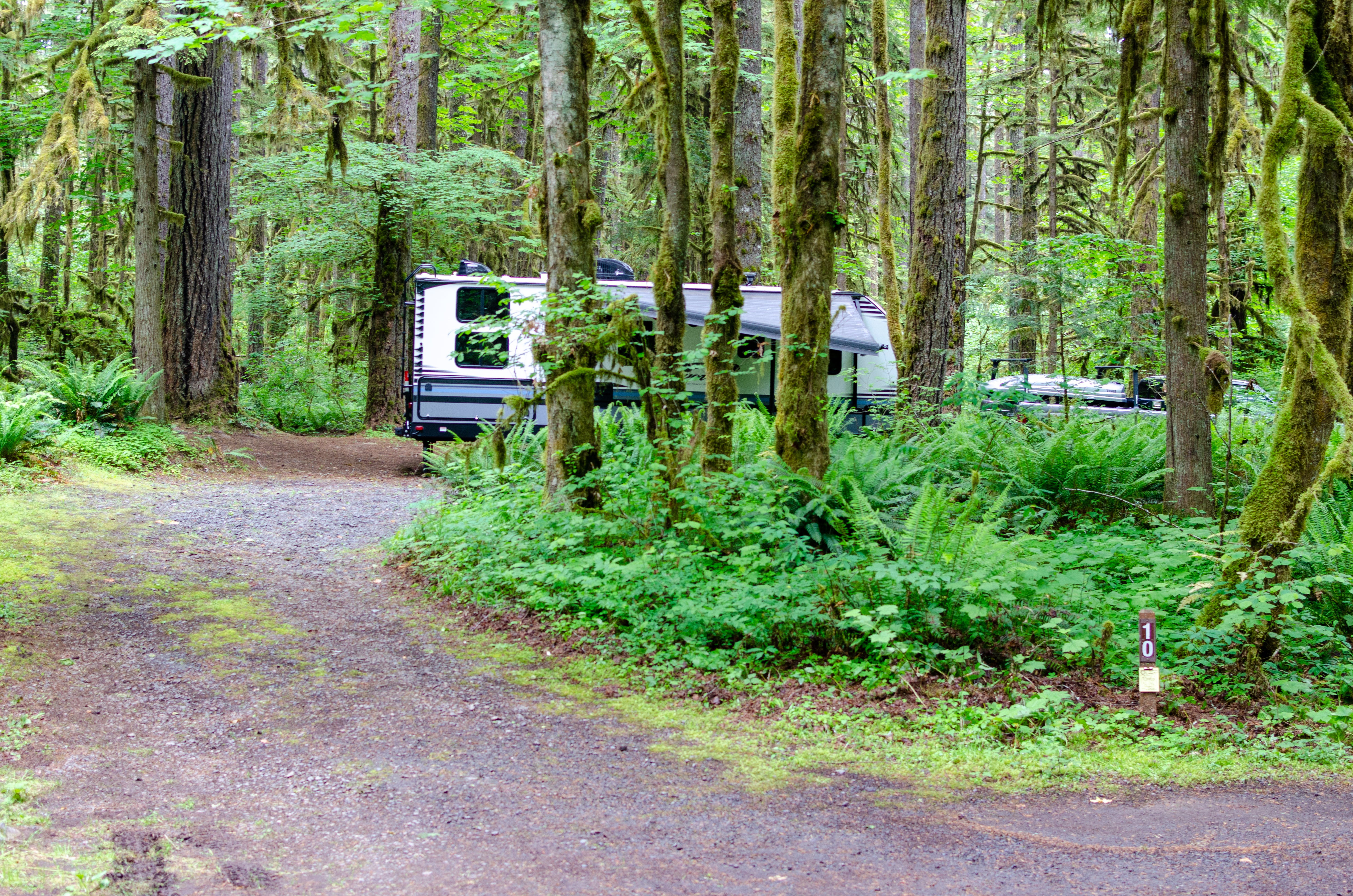 Camper submitted image from Trout Creek Campground - 4