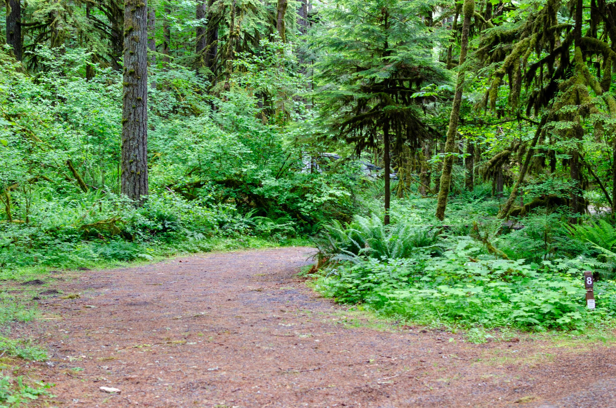Trout Creek Campground The Dyrt