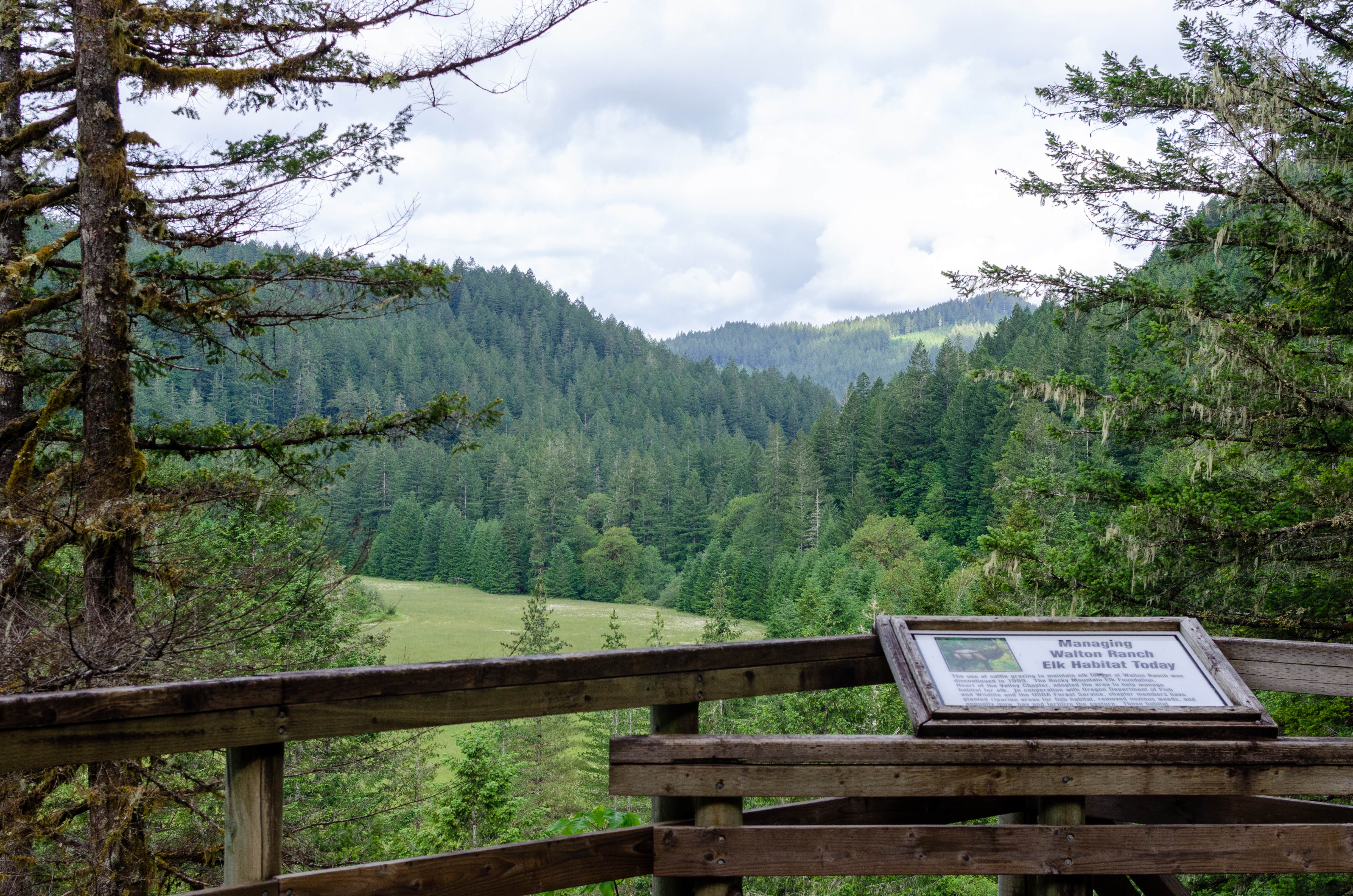 Escape to Idaho's Trout Creek Campground: Where Adventure Awaits