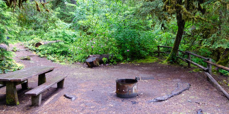 Camper submitted image from Humbug Campground