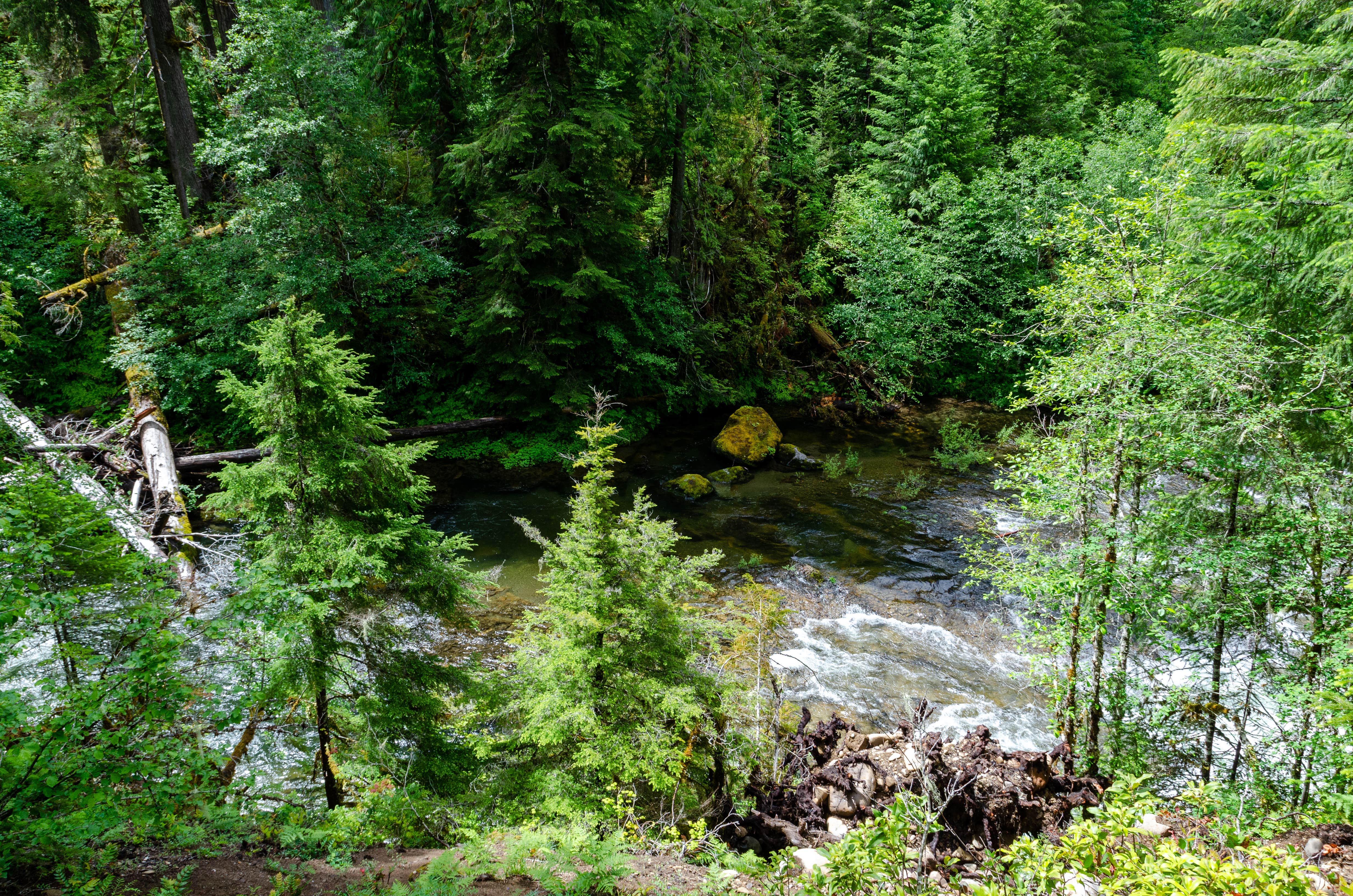 Camper-submitted photo at Humbug Campground near Gates, OR