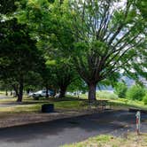 Review photo of Memaloose State Park Campground by Jill T., October 20, 2020