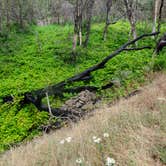 Review photo of Memaloose State Park by Jill T., October 20, 2020