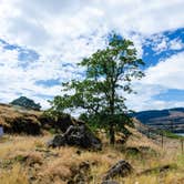 Review photo of Memaloose State Park Campground by Jill T., October 20, 2020