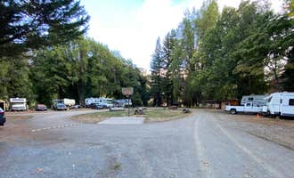 Camping near Williams Grove Group Camp — Humboldt Redwoods State Park: Dean Creek Resort, Redway, California